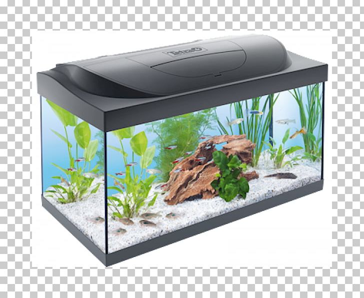 Aquarium Filters Tetra Fishkeeping GloFish PNG, Clipart, Aquarium, Aquarium Decor, Aquarium Filters, Aquarium Lighting, Aquariums Free PNG Download