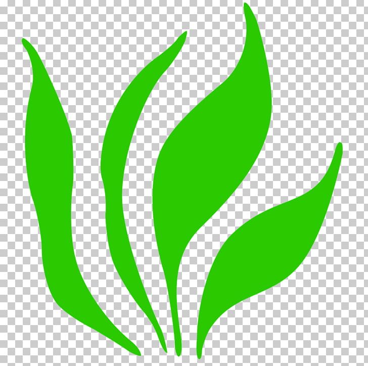 Computer Icons Grass PNG, Clipart, Bloom, Computer Icons, Download, Flower, Grass Free PNG Download