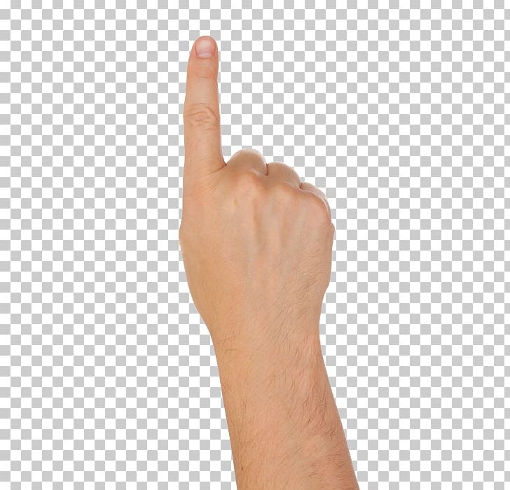 Thumb Hand Model PNG, Clipart, Arm, Finger, Hand, Hand Model, Index Finger Free PNG Download