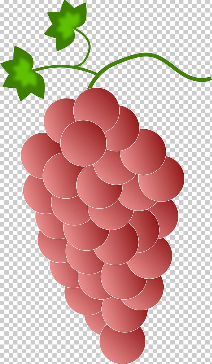 Wine Common Grape Vine Purple PNG, Clipart, Berry, Common Grape Vine, Drawing, Food, Fruit Free PNG Download