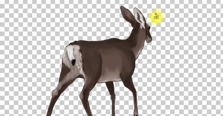 Antelope White-tailed Deer Goat Wildlife PNG, Clipart, Animal, Animals, Antelope, Antler, Art Free PNG Download