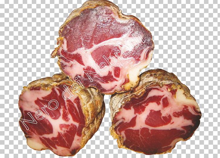 Capocollo Nebrodi Nero Siciliano Prosciutto Ham PNG, Clipart, Animal Fat, Animal Source Foods, Bayonne Ham, Bresaola, Capicola Free PNG Download
