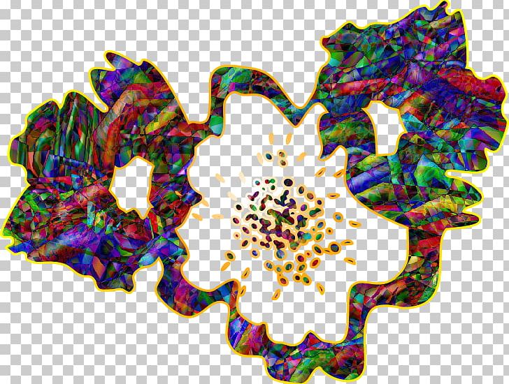 Flower Symmetry Petal Pattern PNG, Clipart, Flower, Nature, Petal, Symmetry Free PNG Download