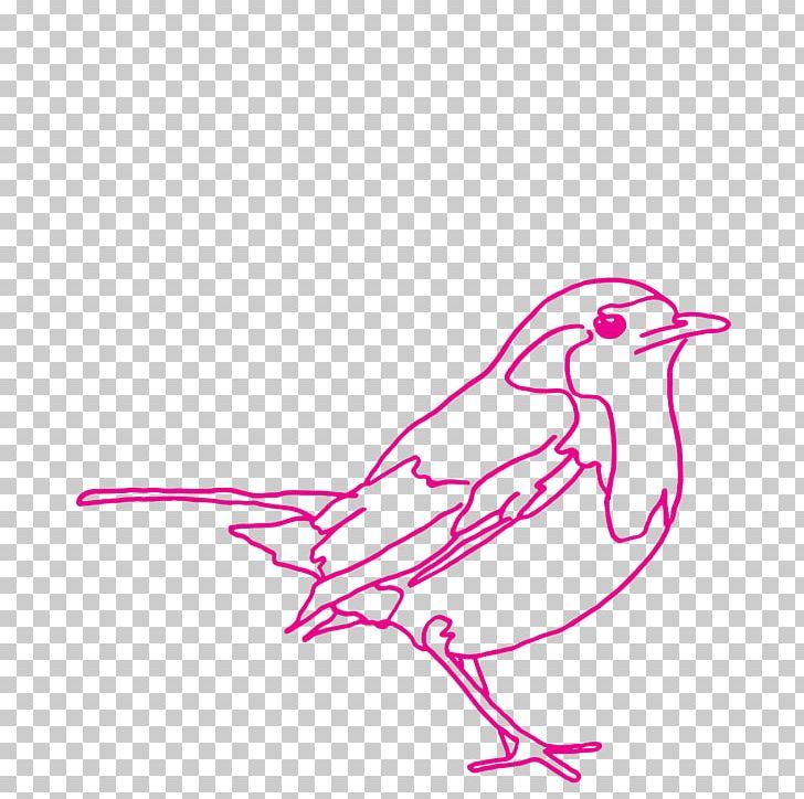 Penguin Beak PNG, Clipart, Area, Art, Artwork, Beak, Bird Free PNG Download