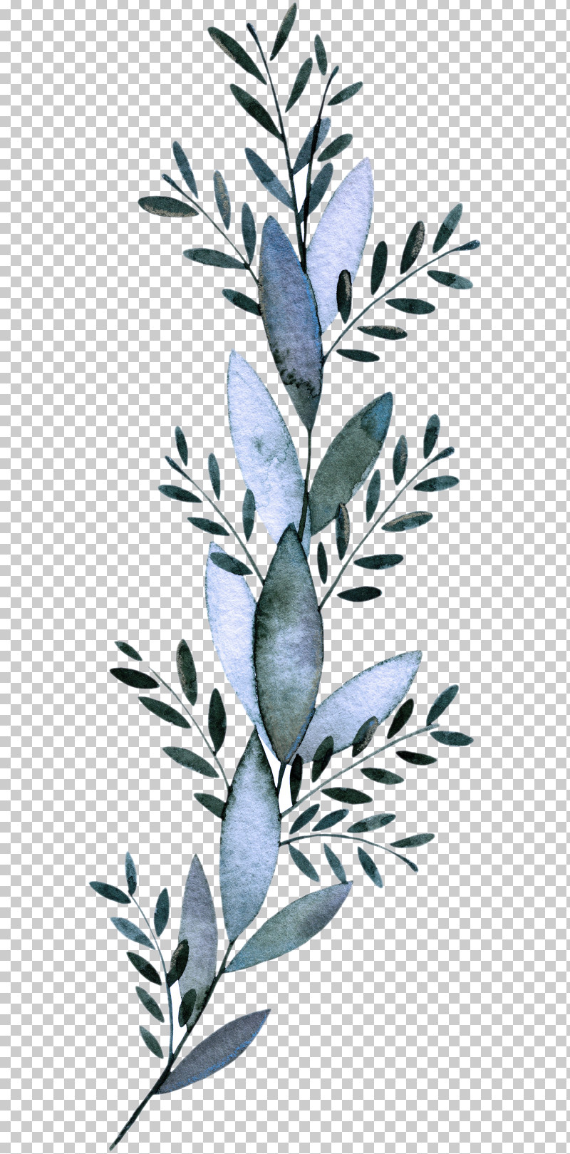 Leaf Plant Stem Twig Tree Black And White PNG, Clipart, Black, Black And White, Flora, Flower, Fruit Free PNG Download