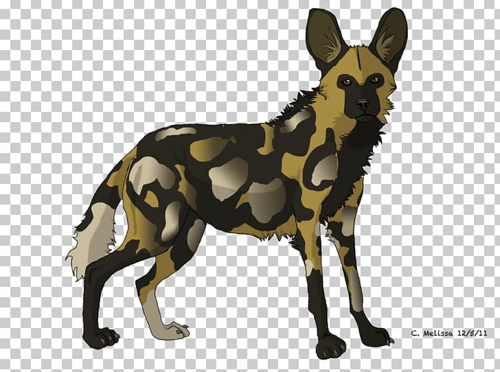 African Wild Dog Puppy Hyena Dhole PNG, Clipart, African Wild Dog, Animal, Animals, Art, Canidae Free PNG Download