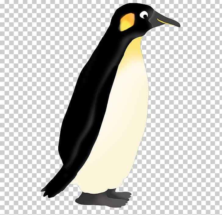Penguin Free Content PNG, Clipart, Beak, Bird, Copyright, Download, Drawing Free PNG Download