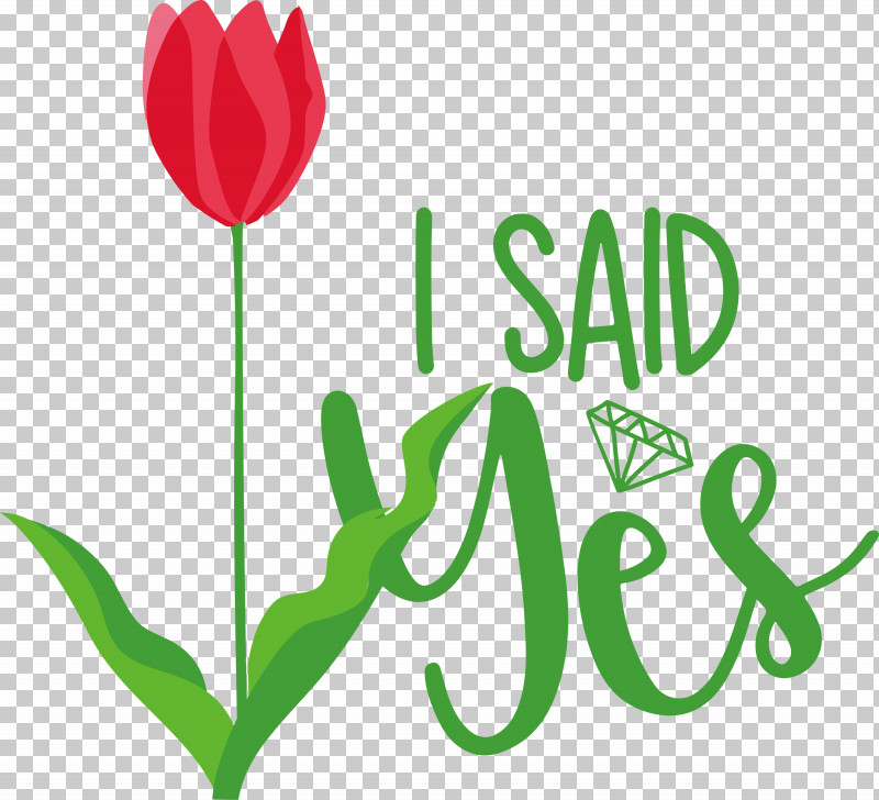 I Said Yes She Said Yes Wedding PNG, Clipart, Cricut, I Said Yes, Music Download, She Said Yes, Wedding Free PNG Download