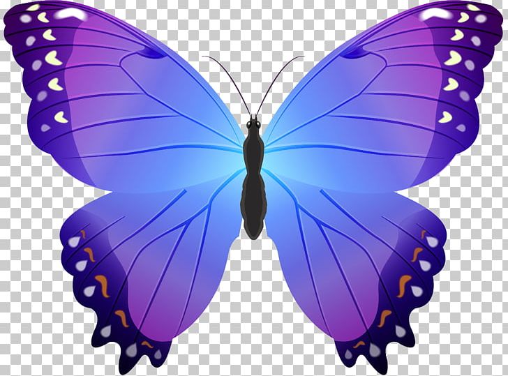 Butterfly PNG, Clipart, Art, Arthropod, Blue, Brush Footed Butterfly, Butterflies Free PNG Download