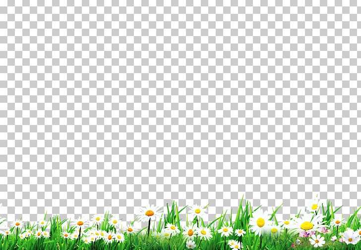 Lawn Green PNG, Clipart, Computer Wallpaper, Download, Flower, Flower Bouquet, Flower Pattern Free PNG Download