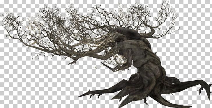 The Elder Scrolls V: Skyrim The Elder Scrolls Online Root Tamriel Plant PNG, Clipart, Alchemy, Bordeciel, Branch, Canis, Craft Free PNG Download
