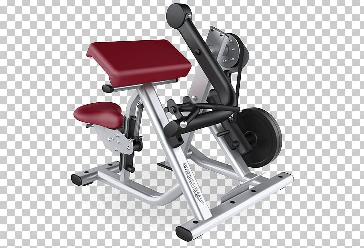 Biceps Curl Exercise Equipment Fitness Centre Exercise Machine Life Fitness PNG, Clipart, Bench, Biceps, Biceps Curl, Bodybuilding, Curl Free PNG Download