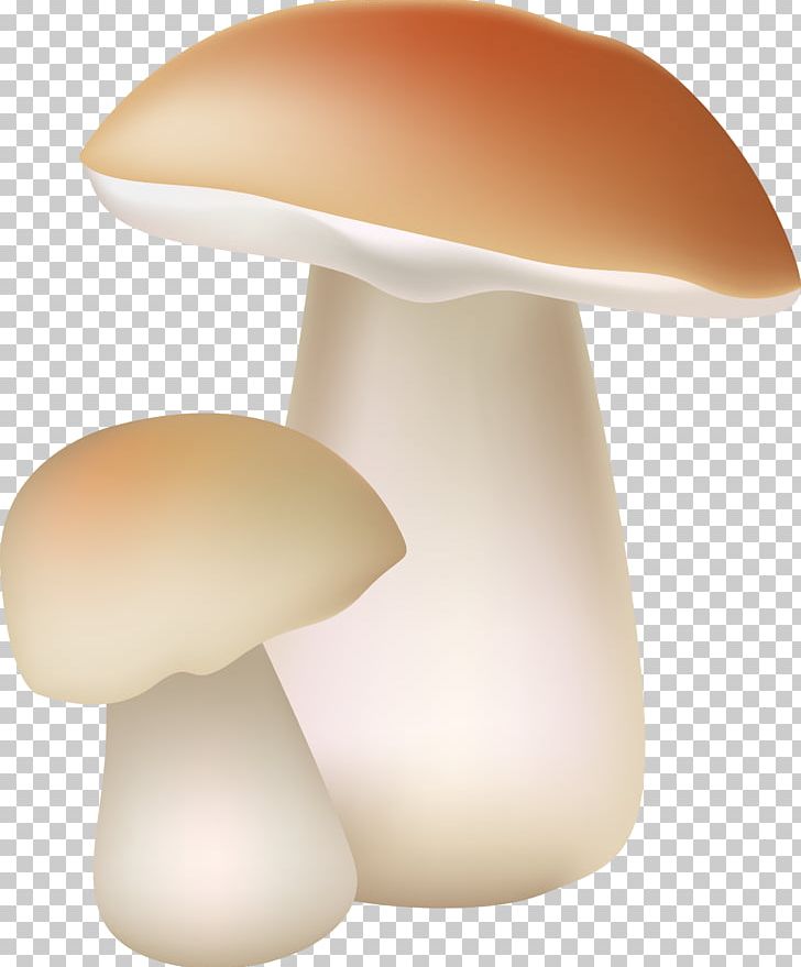 Edible Mushroom Fungus PNG, Clipart, Edible Mushroom, Fungus, Hand Drawn, Lamp, Light Fixture Free PNG Download