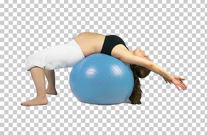 Exercise Balls Pilates Medicine Balls PNG, Clipart, Abdomen, Arm, Balance, Balance Sheet, Ball Free PNG Download
