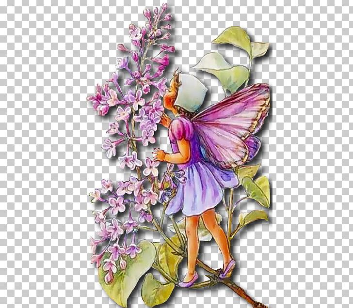 Fairy Wish Flower Fairies Elf Fantastic Art PNG, Clipart, Animation, Art, Butterfly, Cut, Cut Out Free PNG Download