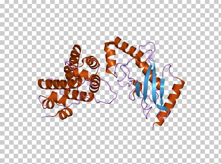 UBE2I RANGAP1 Ubiquitin-conjugating Enzyme Gene PNG, Clipart, Computer, Computer Wallpaper, Desktop Wallpaper, Ebi, Enzyme Free PNG Download