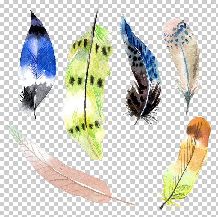 Watercolor: Flowers Watercolor Painting Feather PNG, Clipart, Animals, Beautiful, Bird, Butt, Cartoon Free PNG Download
