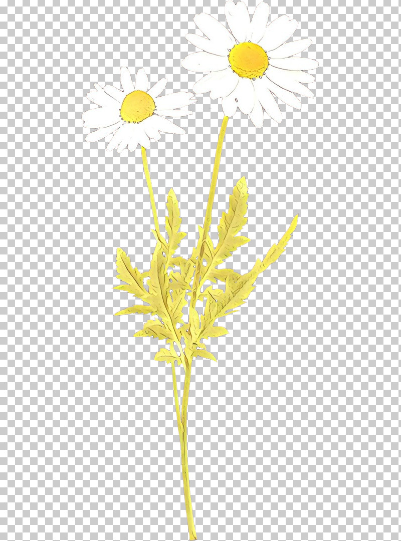 Yellow Plant Flower Pedicel Plant Stem PNG, Clipart, Flower, Goldenrod, Pedicel, Plant, Plant Stem Free PNG Download