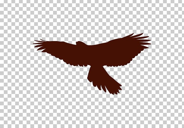 Bald Eagle Computer Icons PNG, Clipart, Accipitriformes, Bald Eagle, Beak, Bird, Bird Of Prey Free PNG Download