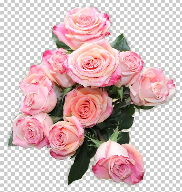 Garden Roses Flower Bouquet Cabbage Rose Cut Flowers PNG, Clipart, Artificial Flower, Beach Rose, Blossom, Cut Flowers, Fleur Free PNG Download