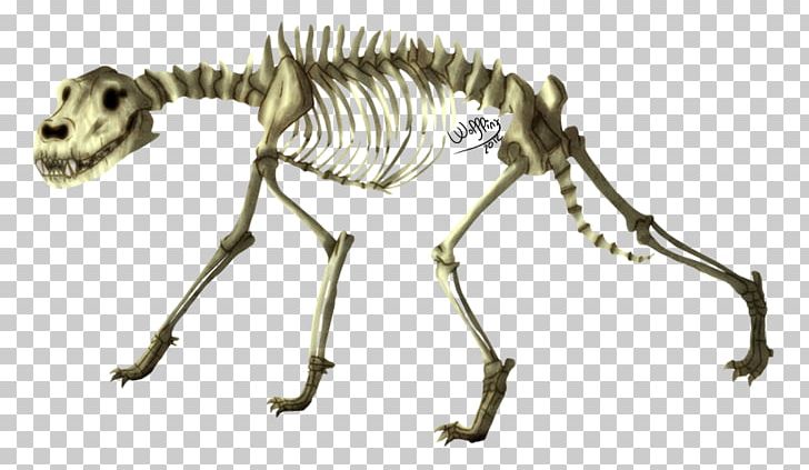 Skeleton Dog Coyote Animal Ethiopian Wolf PNG, Clipart, Animal, Animal Figure, Bone, Canis, Carnivora Free PNG Download