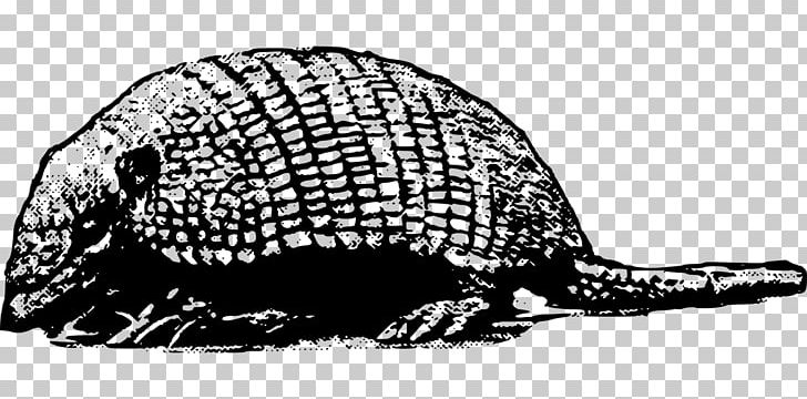 Armadillo PNG, Clipart, Animal, Armadillo, Armadillo Clipart, Art, Black And White Free PNG Download