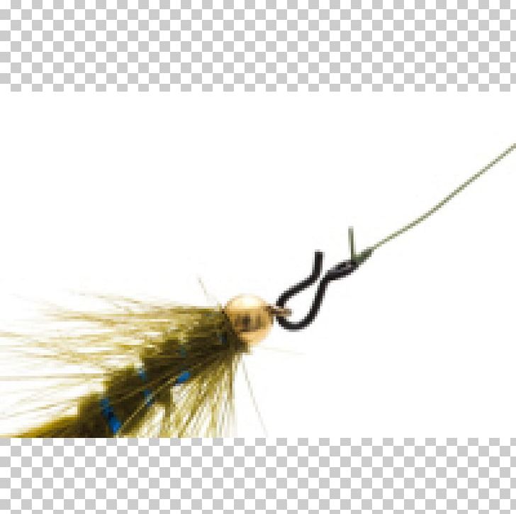Artificial Fly Knot Fishing .no Fish Hook PNG, Clipart, Arthropod, Artificial Fly, Fas, Fetal Alcohol Syndrome, Finish Free PNG Download