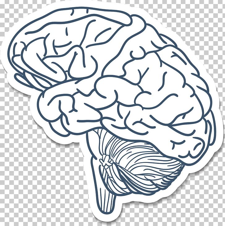 Blue Brain Project Cerebrum Drawing PNG, Clipart, Area, Balloon Cartoon, Biomedical, Biomedical Advertising, Biomedical Cosmetic Surgery Free PNG Download