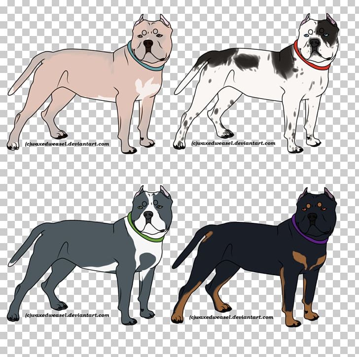 Dog Breed American Bully American Pit Bull Terrier Siberian Husky PNG, Clipart, American Bully, American Pit Bull Terrier, Bicolor Cat, Blue Nose, Breed Free PNG Download