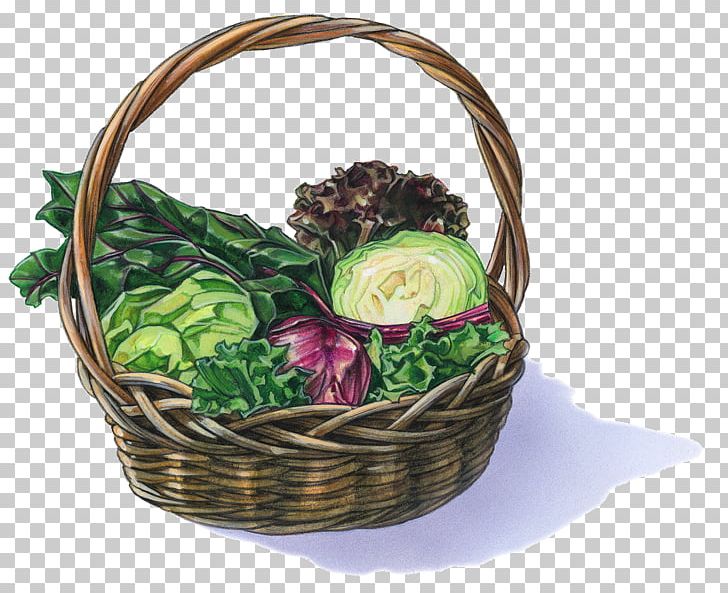 Drawing Illustration Photography PNG, Clipart, Artificial Flower, Banco De Imagens, Basket, Chard, Cut Flowers Free PNG Download