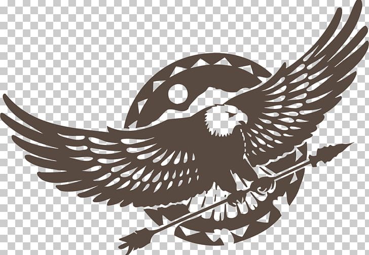 Eagle Decal Arrow PNG, Clipart, Animals, Archery Vector, Bald Eagle, Beak, Bird Free PNG Download