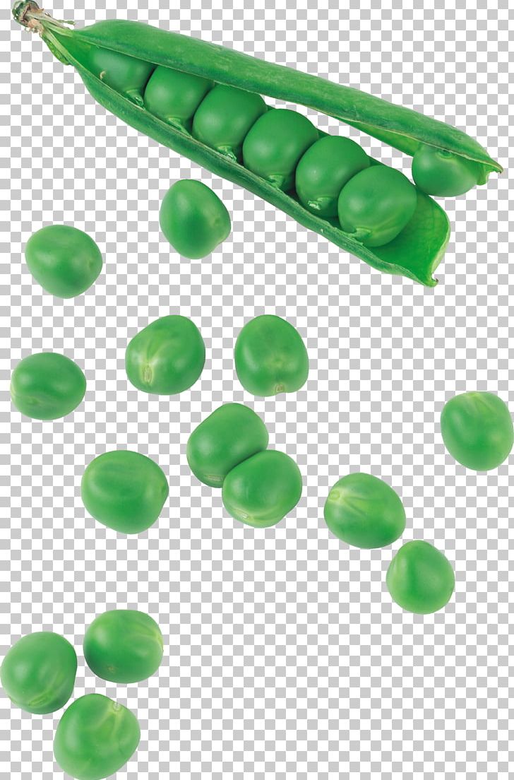 Pea Silique Bean Food Vegetable PNG, Clipart, Bead, Bean, Common Bean, Disease, Eating Free PNG Download
