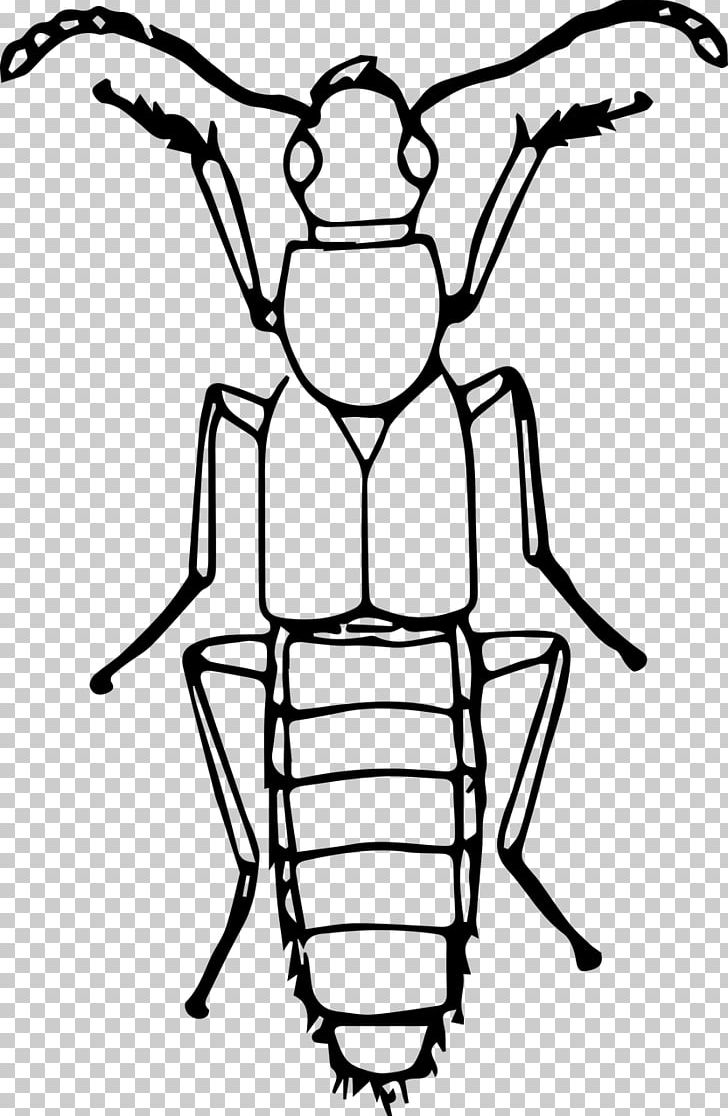Volkswagen Beetle Insect Line Art PNG, Clipart, Animal, Animals, Artwork, Beetle, Black And White Free PNG Download