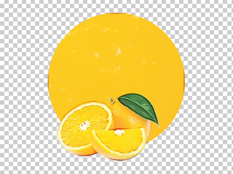 Orange PNG, Clipart, Bitter Orange, Citric Acid, Citron, Citrus, Clementine Free PNG Download