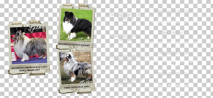 Dog Breed Advertising Brand PNG, Clipart, Advertising, Animals, Brand, Breed, Dog Free PNG Download