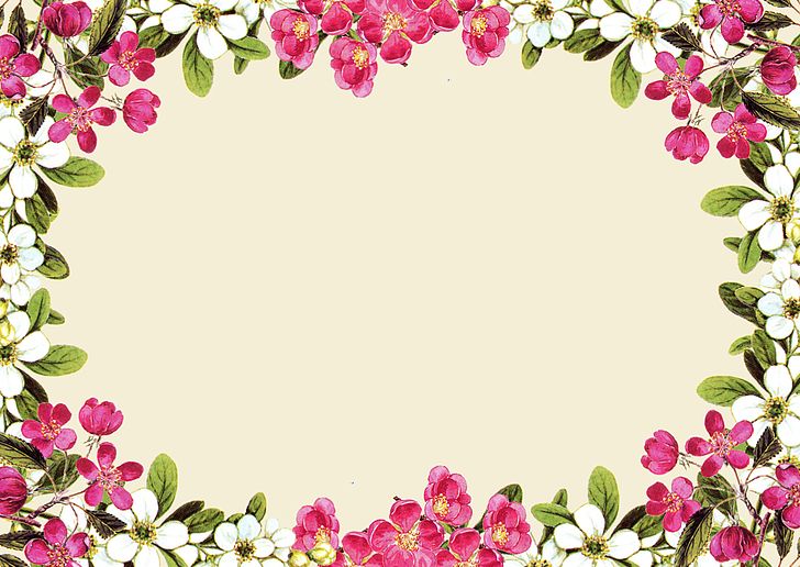 Flower Rose Pink PNG, Clipart, Art, Blossom, Borders And Frames, Branch, Cherry Blossom Free PNG Download