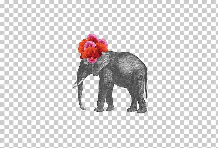 Flower Elephant Floral Design PNG, Clipart, Animal, Animals, Art, Background Black, Black Free PNG Download