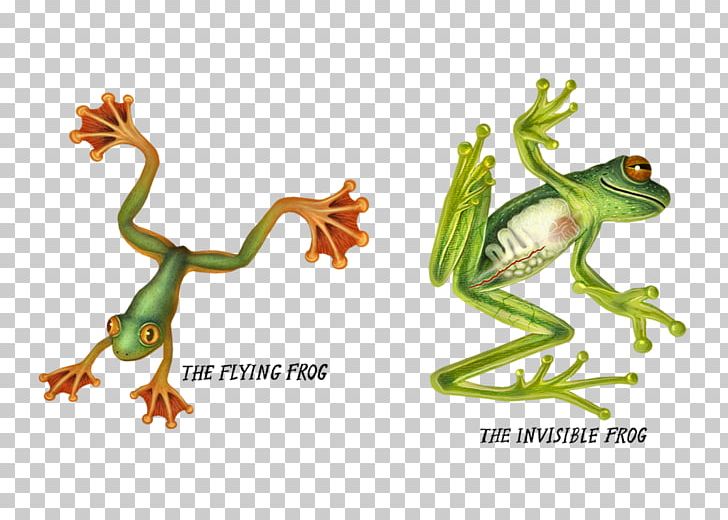 Tree Frog True Frog Wallace's Flying Frog PNG, Clipart, Amphibian, Animal Figure, Animals, Deviantart, Fauna Free PNG Download