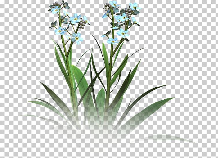 Floral Design Flower PNG, Clipart, Collage, Computer Wallpaper, Creative, Floral, Floral Patterns Free PNG Download