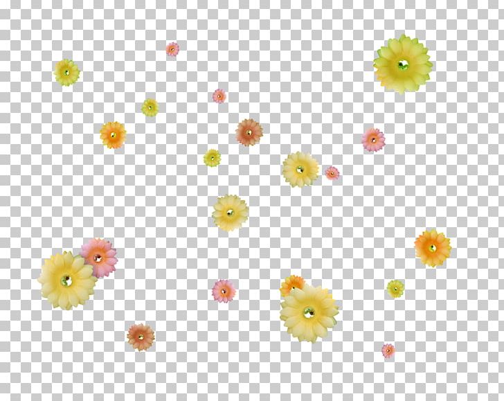 Flower Birthday Petal PNG, Clipart, Birthday, Chrysanths, Circle, Daisy, Daisy Family Free PNG Download