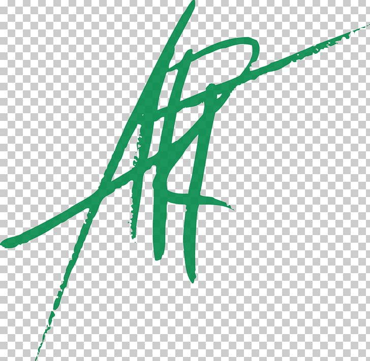 Green Line Angle PNG, Clipart, Angle, Art, Branch, Eckel Vaughan, Grass Free PNG Download