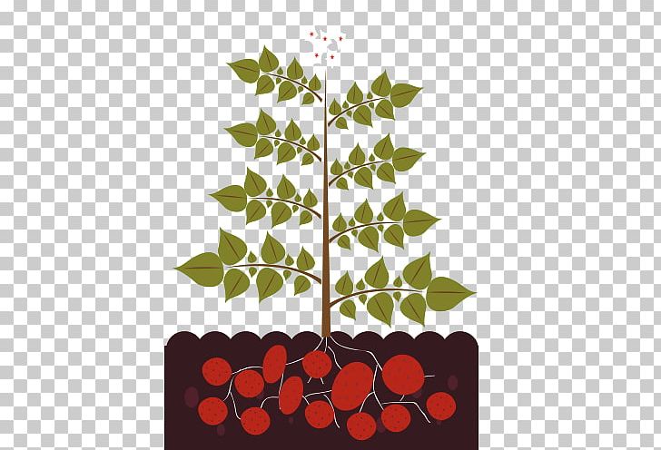 Plant Illustration PNG, Clipart, Animals, Border, Branch, Cartoon, Crocodile Free PNG Download