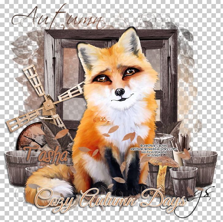 Red Fox Mammal Dog Whiskers Canidae PNG, Clipart, Animal, Animals, Canidae, Carnivora, Carnivoran Free PNG Download