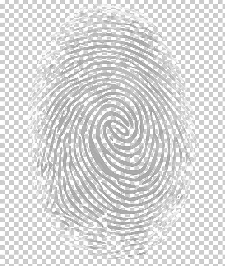 Wave PNG, Clipart, Black And White, Circle, Encapsulated Postscript, Fingerprint, Line Free PNG Download