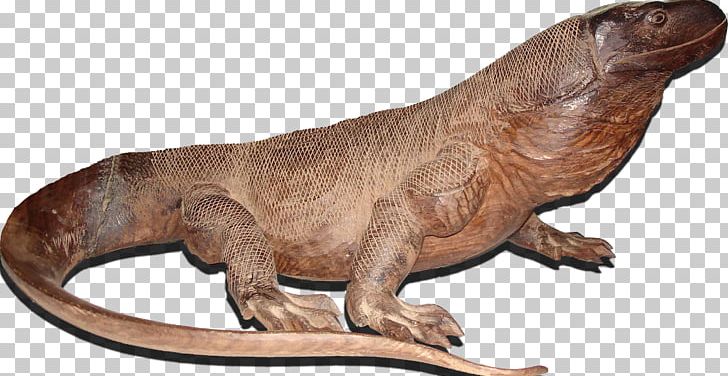Komodo Dragon Lizard Central Bearded Dragon PNG, Clipart, Animal, Animal Figure, Animals, Bearded Dragons, Blog Free PNG Download