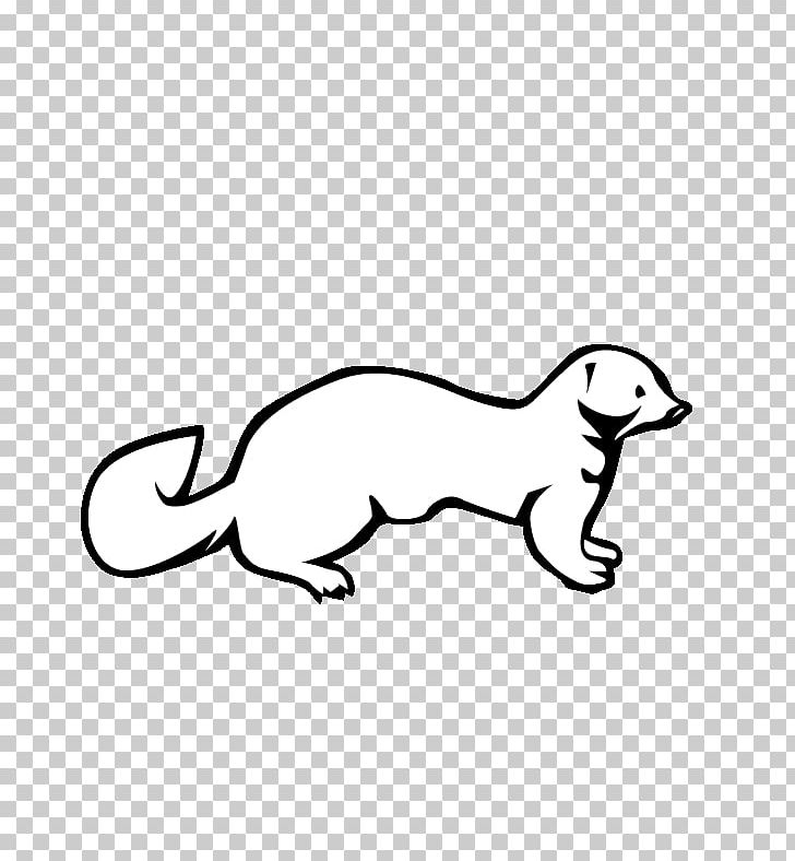 Weasels Mink Ferret PNG, Clipart, Animal, Animal Figure, Animals, Area, Beak Free PNG Download