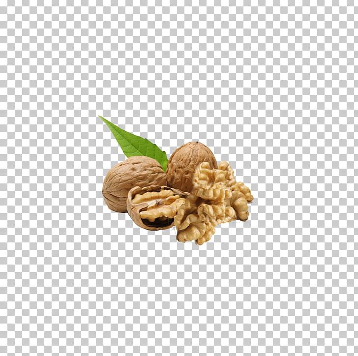 English Walnut Nuts Auglis PNG, Clipart, Auglis, Brazil Nut, Cashew, Commodity, Dry Free PNG Download