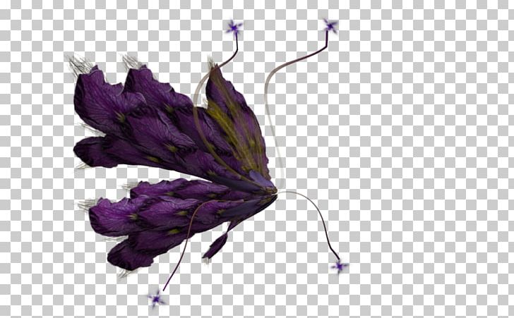 Fairy Art PNG, Clipart, Art, Artist, Butterfly, Candlelight Vigil, Clip Art Free PNG Download