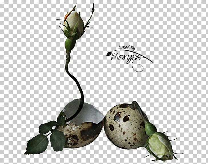 Flower Bouquet Easter Egg Plant Stem PNG, Clipart, Birth, Child, Easter, Easter Egg, Egg Free PNG Download