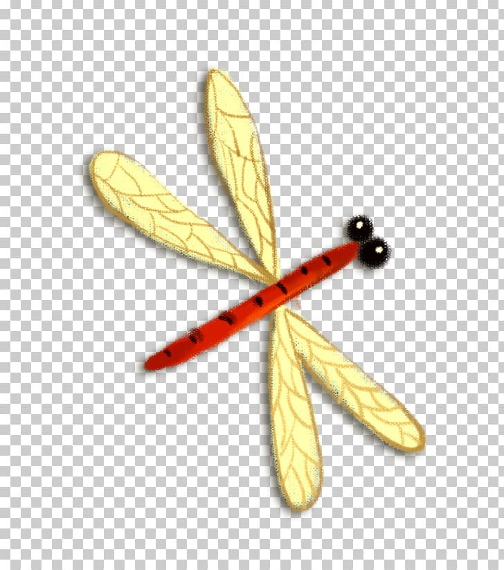 Insect Dragonfly PNG, Clipart, Cartoon, Designer, Download, Euclidean Vector, Flower Fly Free PNG Download